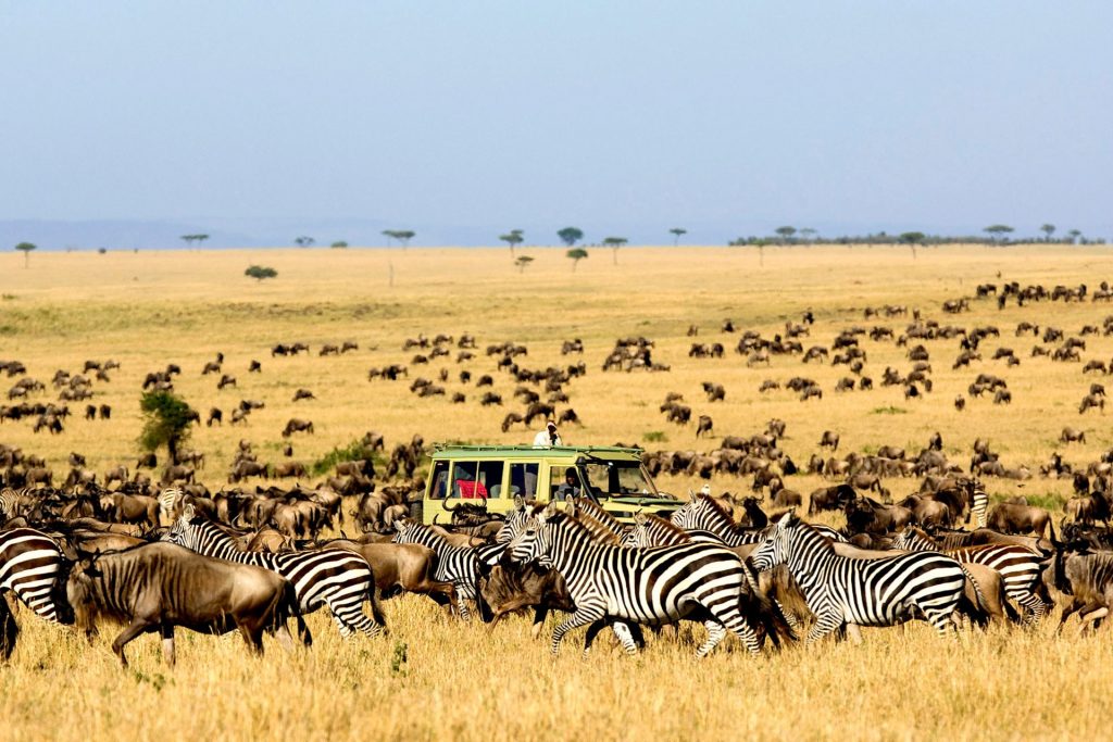 East Africa Safari & Zanzibar