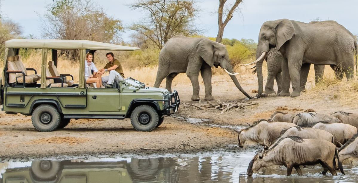 Mikumi Safari Adventure